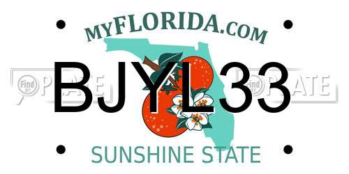 BJYL33 Florida License Plate