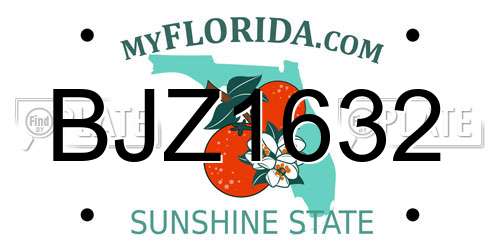 BJZ1632 Florida License Plate