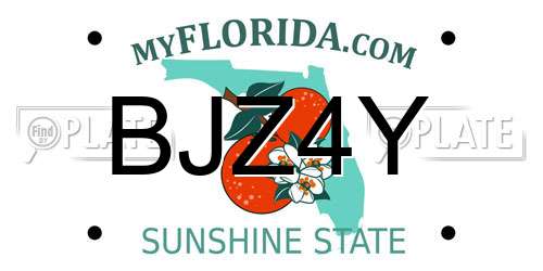BJZ4Y Florida License Plate