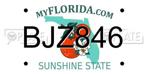 BJZ846 Florida License Plate