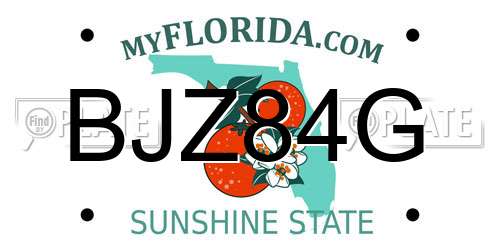 BJZ84G Florida License Plate