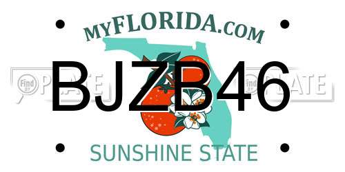 BJZB46 Florida License Plate