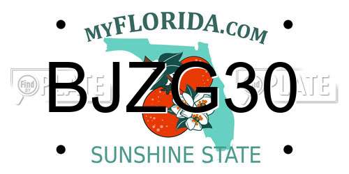 BJZG30 Florida License Plate