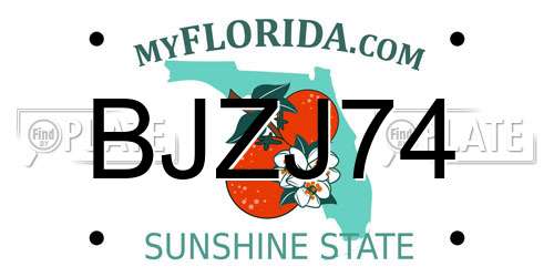 BJZJ74 Florida License Plate