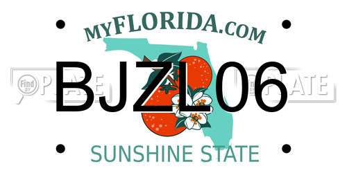 BJZL06 Florida License Plate