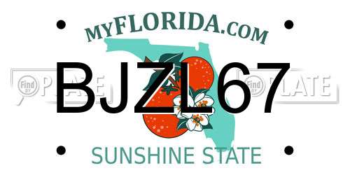 BJZL67 Florida License Plate