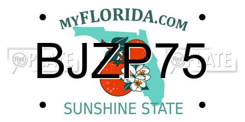 BJZP75 Florida License Plate