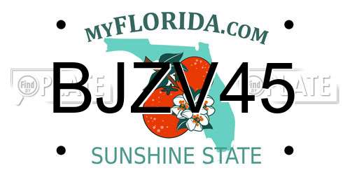 BJZV45 Florida License Plate