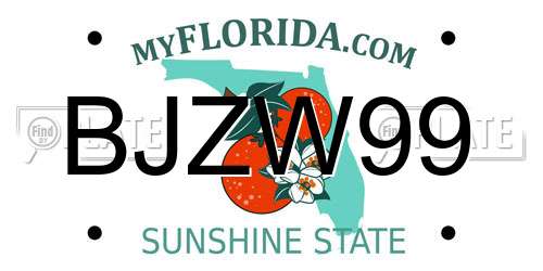 BJZW99 Florida License Plate
