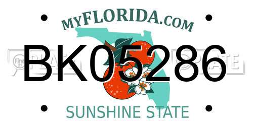 BK05286 Florida License Plate
