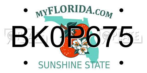 BK0P675 Florida License Plate