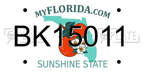 BK15011 Florida License Plate