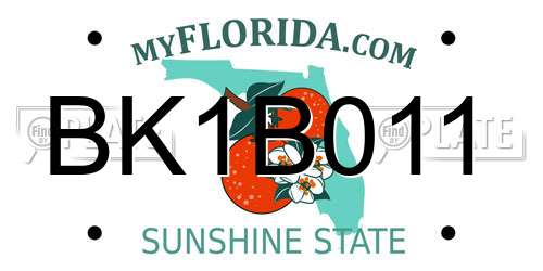 BK1B011 Florida License Plate