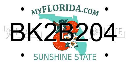 BK2B204 Florida License Plate