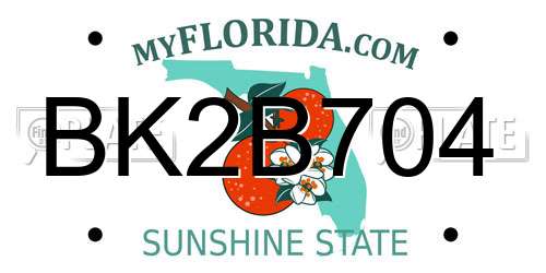 BK2B704 Florida License Plate