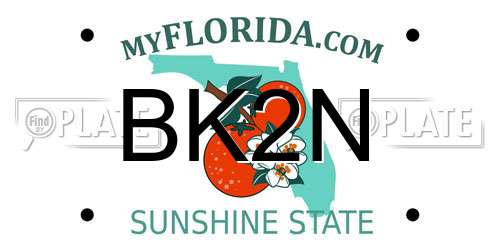 BK2N Florida License Plate