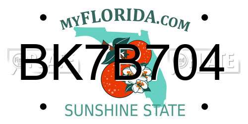 BK7B704 Florida License Plate
