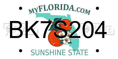 BK7S204 Florida License Plate