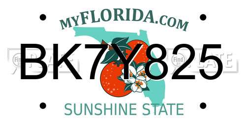 BK7Y825 Florida License Plate