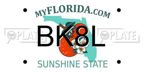 BK8L Florida License Plate