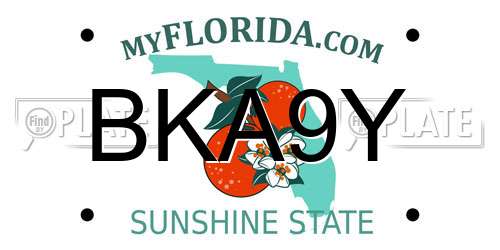 BKA9Y Florida License Plate