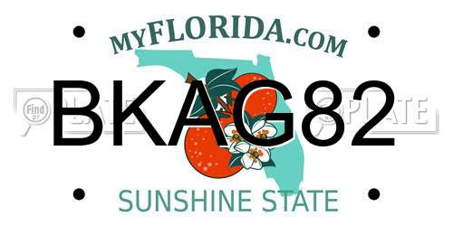 BKAG82 Florida License Plate