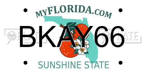 BKAY66 Florida License Plate