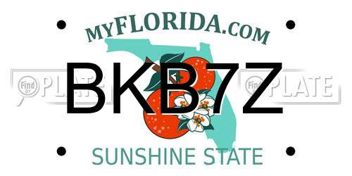 BKB7Z Florida License Plate