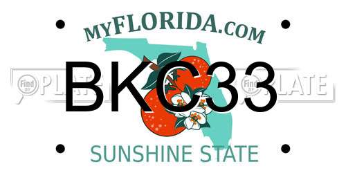 BKC33 Florida License Plate