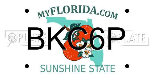 BKC6P Florida License Plate