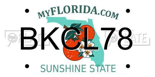 BKCL78 Florida License Plate
