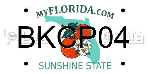 BKCP04 Florida License Plate