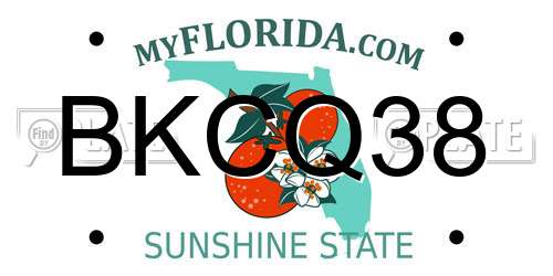 BKCQ38 Florida License Plate