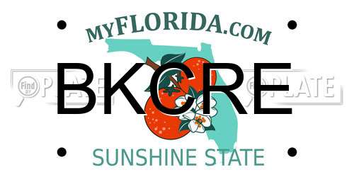 BKCRE Florida License Plate
