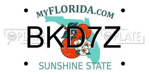 BKD7Z Florida License Plate
