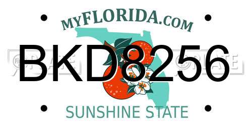BKD8256 Florida License Plate