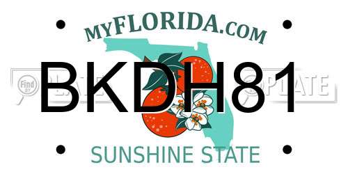 BKDH81 Florida License Plate