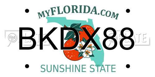 BKDX88 Florida License Plate