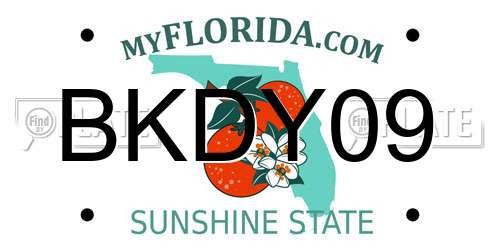 BKDY09 Florida License Plate