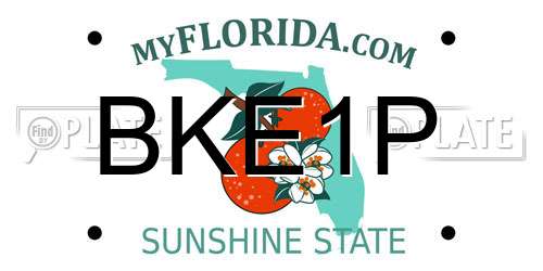 BKE1P Florida License Plate