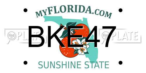 BKE47 Florida License Plate