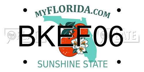 BKEF06 Florida License Plate
