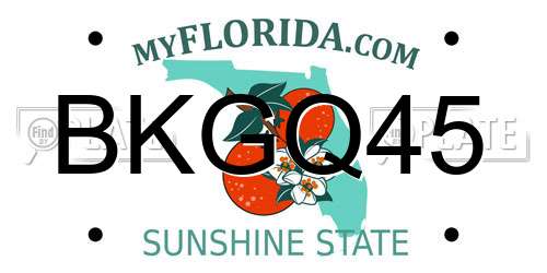 BKGQ45 Florida License Plate