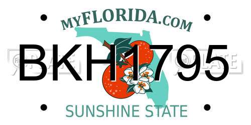 BKH1795 Florida License Plate