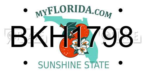 BKH1798 Florida License Plate
