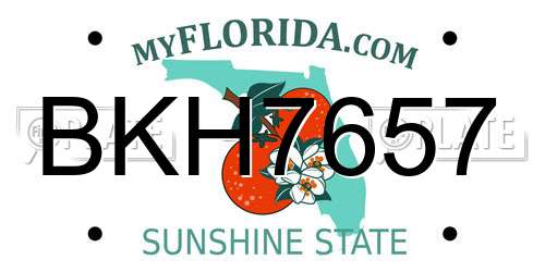 BKH7657 Florida License Plate