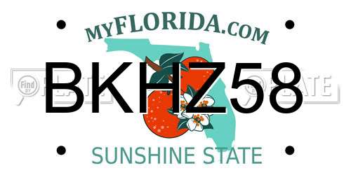 BKHZ58 Florida License Plate