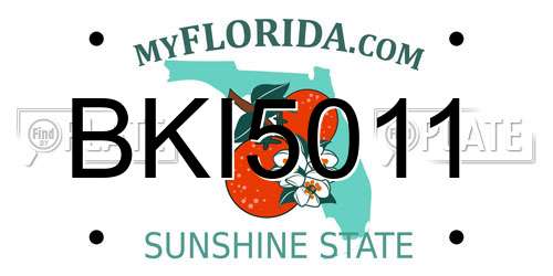 BKI5011 Florida License Plate