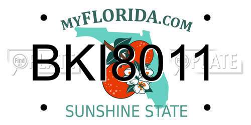 BKI8011 Florida License Plate