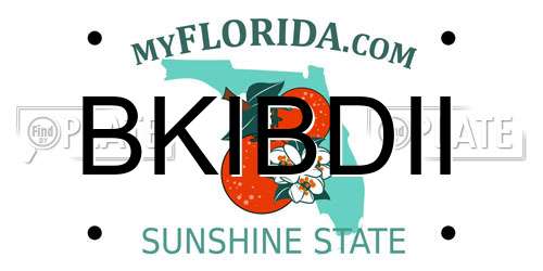 BKIBDII Florida License Plate